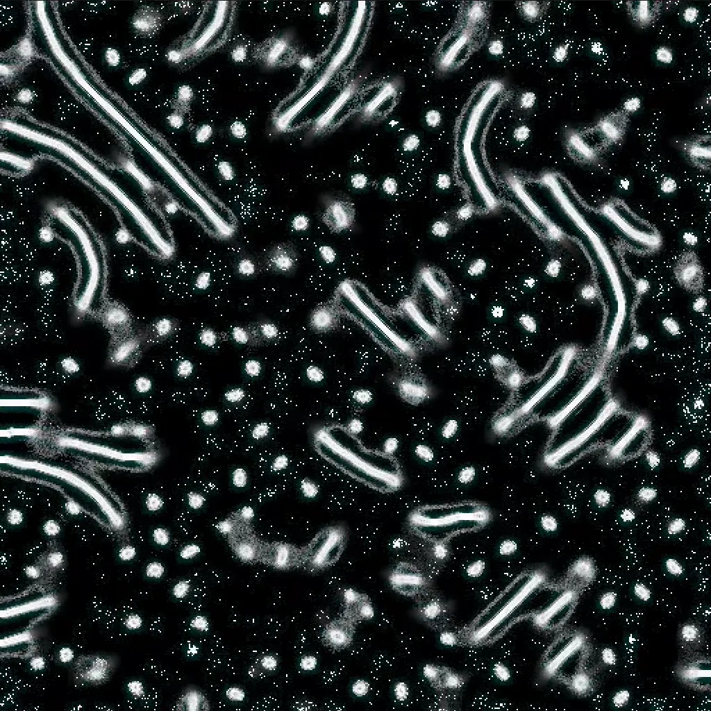 Compute Explorations